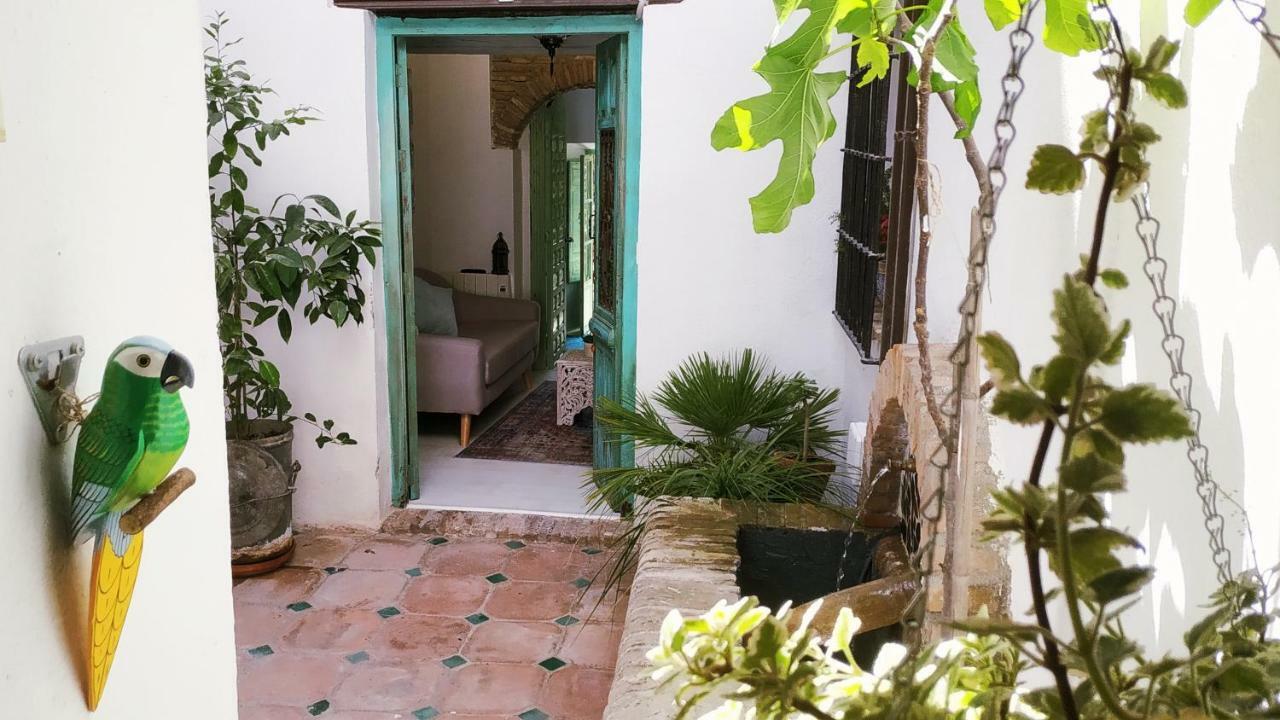 Riad Puertas Del Albaicin Granada Exterior foto